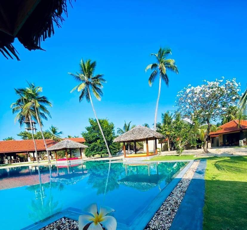 Blue Waves Kite Surfing Beach Resort Kalpitiya Eksteriør bilde
